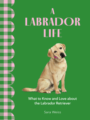 cover image of A Labrador Life